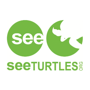 SEE Turtles Logo