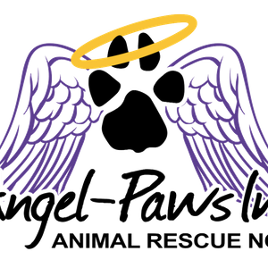 Angel Paws Inc Animal Rescue North Queensland Logo