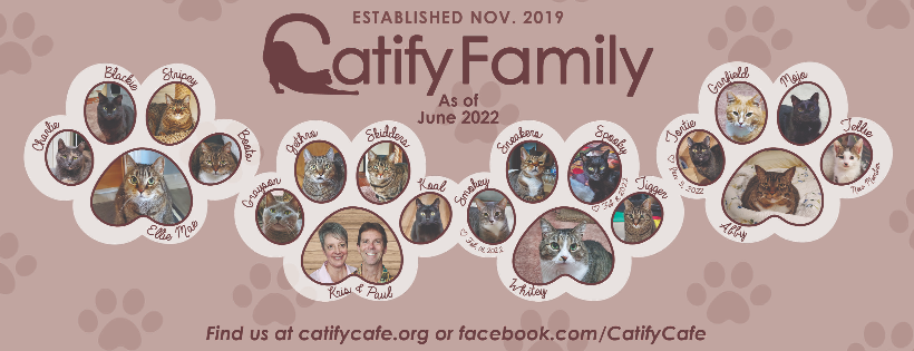 Catify Cafe & Adoptions, Inc. Cover Photo