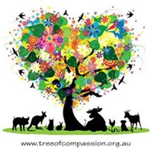 Tree of Compassion Logo