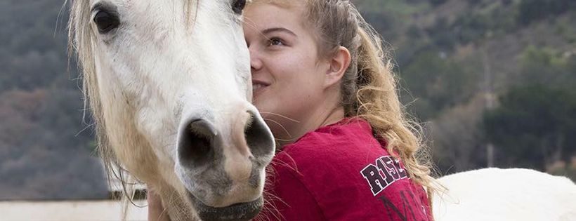 Falcon Ridge Equine Rescue Cover Photo