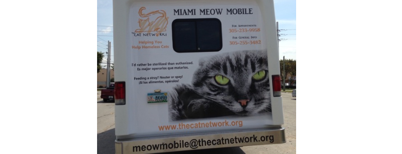 The Cat Network, Inc. Cover Photo