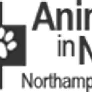 Animals in Need Logo