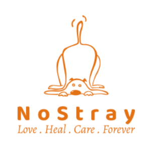 Nostrays Logo