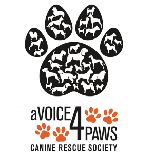 A Voice 4 Paws Logo