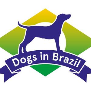 Dogs in Brazil Logo