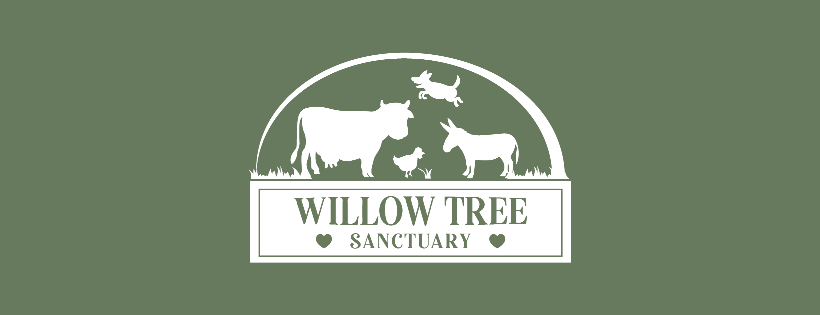 Willow Tree Sanctuary Cover Photo