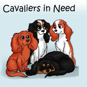 Cavaliers in Need NI Logo