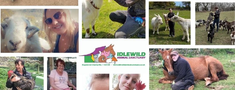 Idlewild Animal Sanctuary Cover Photo