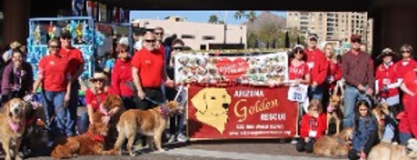 Arizona Golden Rescue Cover Photo