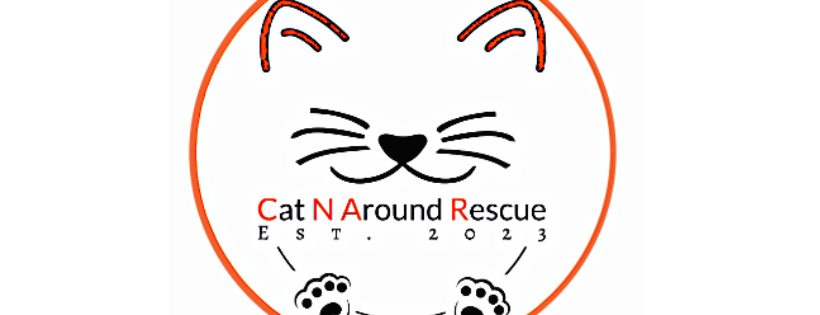 CAT N AROUND RESCUE Cover Photo