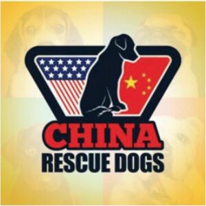 China Rescue Dogs Logo