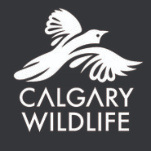 Calgary Wildlife Rehabilitation Society (Calgary Wildlife) Logo