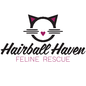 Hairball Haven Logo