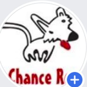 Last Chance Rescue Logo