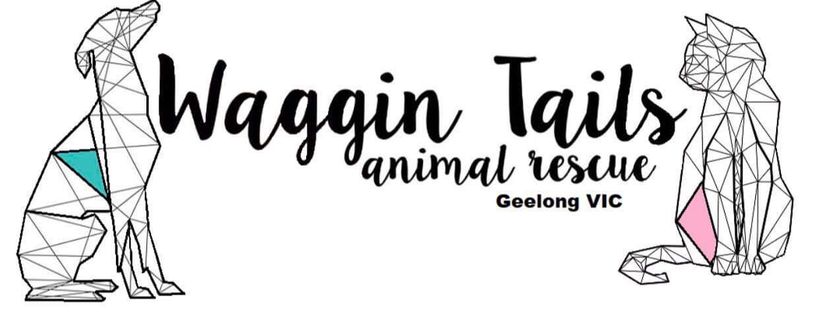 Waggin Tails Animal Rescue Cover Photo