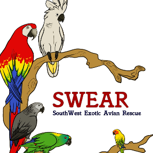 SouthWest Exotic Avian Rescue Logo