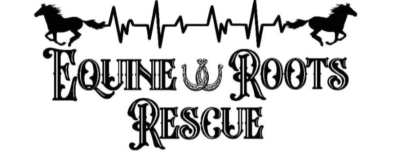 Equine Roots Rescue Cover Photo