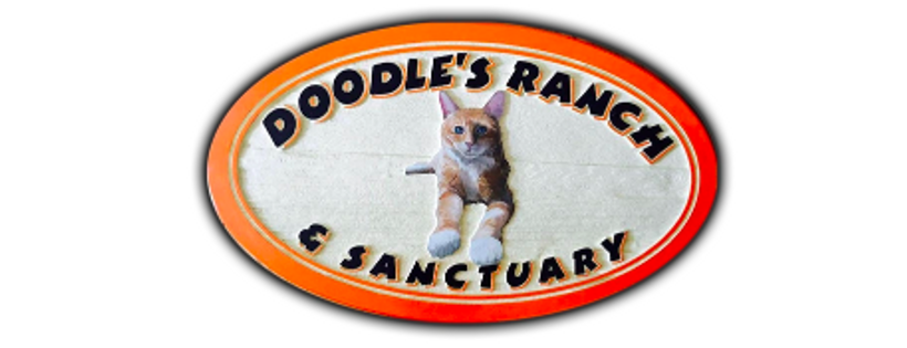 Doodles Ranch and Sanctuary