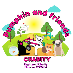 Pumpkin & friends charity Logo