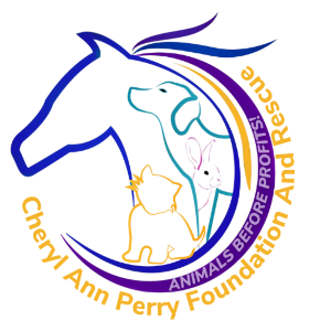 Cheryl Ann Perry Foundation Pty Ltd Logo