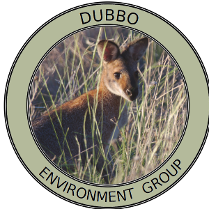 Dubbo Indian Myna Control Program Logo
