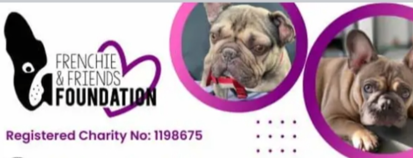 Frenchie and friends foundation Cover Photo