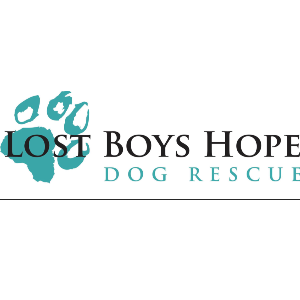 Lost Boys Hope Logo