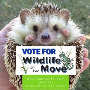 Wildlife On The Move Logo