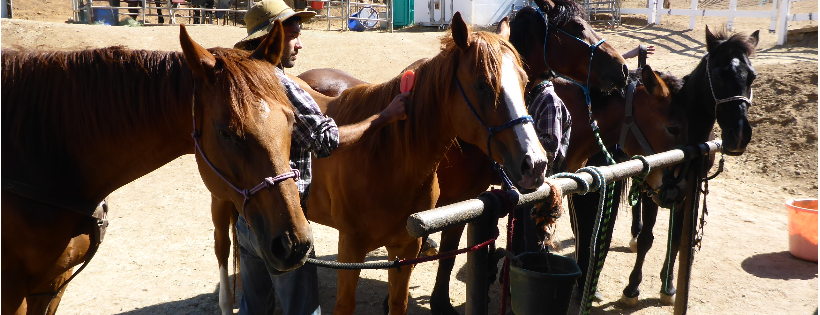Fahnestock Ranch