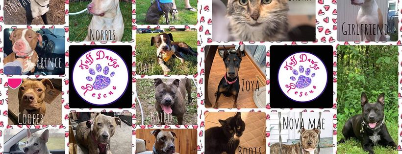 Tuff Dawgs Rescue Cover Photo