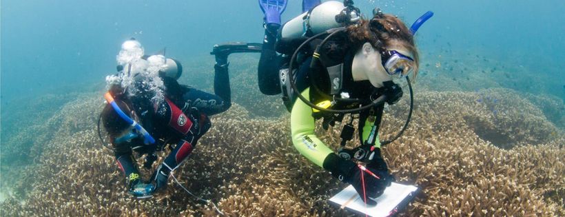 Reef Check Australia Cover Photo