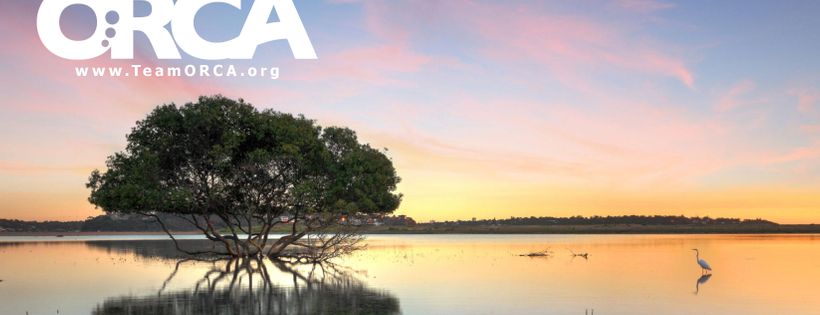 Ocean Research & Conservation Association Cover Photo