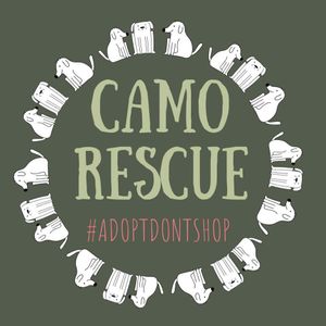 CAMO Rescue Logo