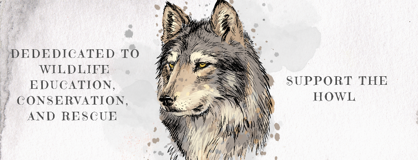 Predators of the Heart Cover Photo