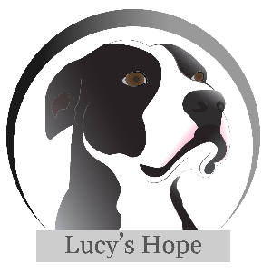 Lucy’s Hope Logo