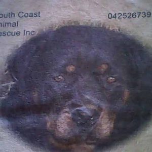 South Coast Animal Rescue Inc Logo