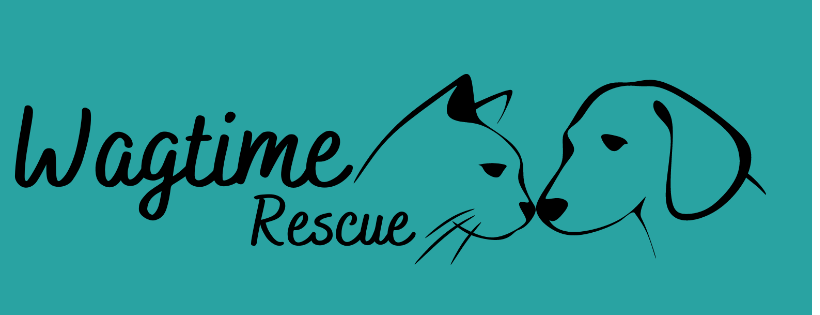 Wagtime Rescue Cover Photo