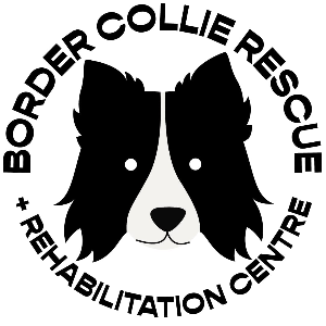 Diane Hart Collie Dog Rescue & Rehabiliation Centre Logo