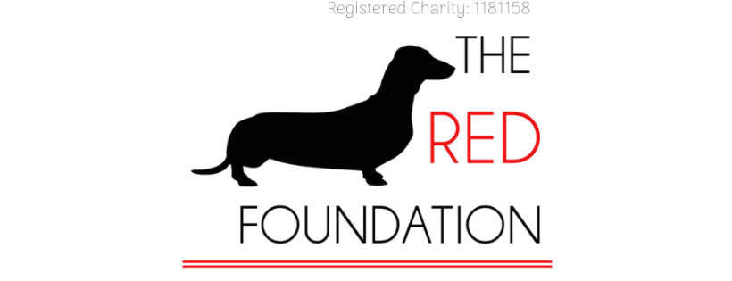 The Red Foundation Dachshund Rescue Cover Photo