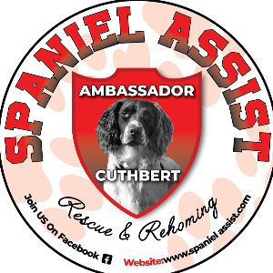 Spaniel Assist Rescue & Rehoming Group UK Non - Profit Organisation (SARR) Logo