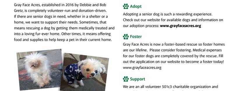 Gray Face Acres senior dog rescue Cover Photo