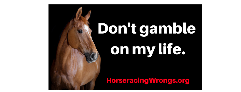 Horseracing Wrongs Inc Cover Photo