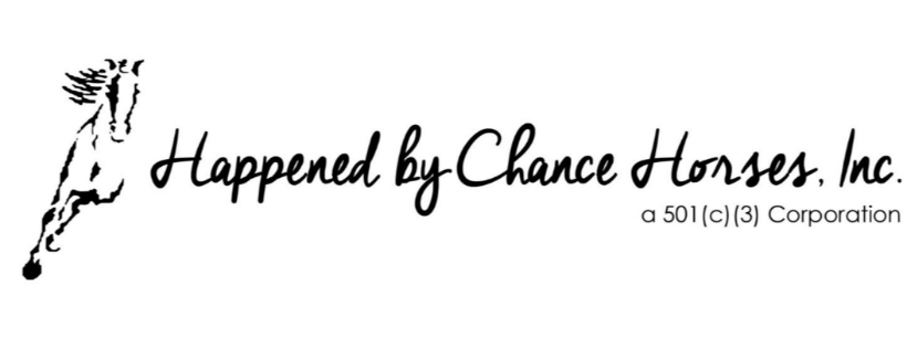 Happened by Chance Horses Cover Photo