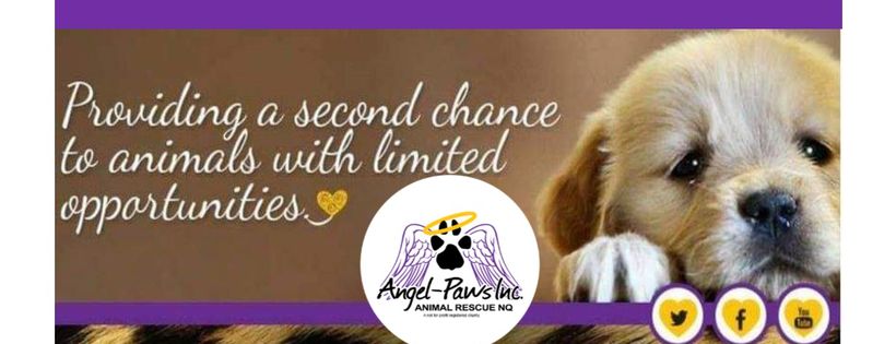 Angel Paws Inc Animal Rescue North Queensland Cover Photo