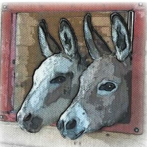 Little Longears Miniature Donkey Rescue Logo