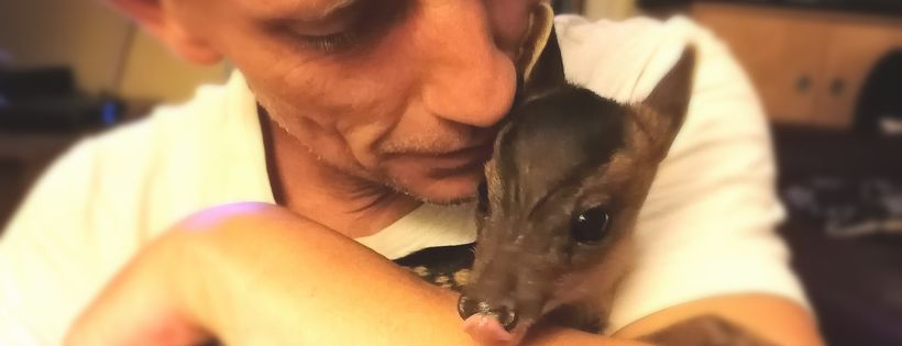 Bradbury Bird and Wildlife Rehabilitation Cover Photo