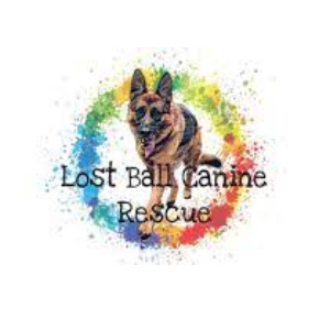 Lost Ball Canine Logo