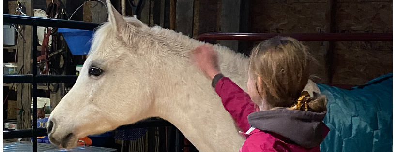 Stone Valleys Ray of Hope Equine Rescue Cover Photo