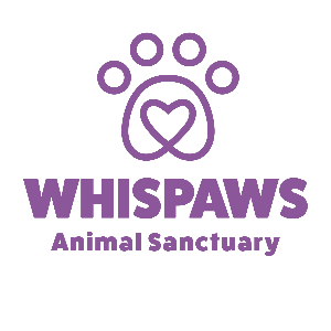 Whispaws Animal Sanctuary Logo